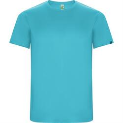 Спортивная футболка IMOLA мужская, БИРЮЗОВЫЙ 2XL