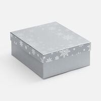 Коробка Wintry, серебристая
