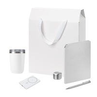 Подарочный набор Велком Пак Премиум (Welcome Pack Premium), серебряный (термокружка, колонка, ежедневник, ручка, ЗУ, коробка-